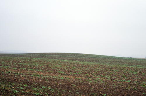 A prehistoric tumulus at Bjieljina which is still visible in the field. <br>The original height of the tumulus can only be estimated since modern ploughing decimated it. (© Eastern Atlas/OREA)